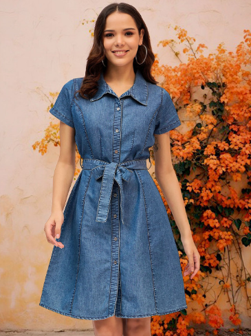 DressBerry Women Denim Short Dress